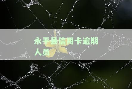 永平县信用卡逾期人员