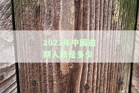 2023年中国逾期人数是多少