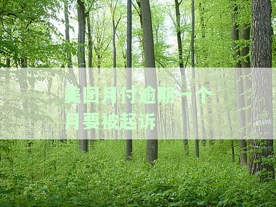 美团月付逾期一个月要被起诉怎么办及后果严重？