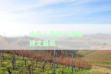 山东人民银行客服电话多少