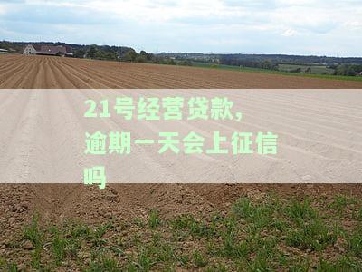 21号经营贷款逾期一天会上征信吗怎么办？