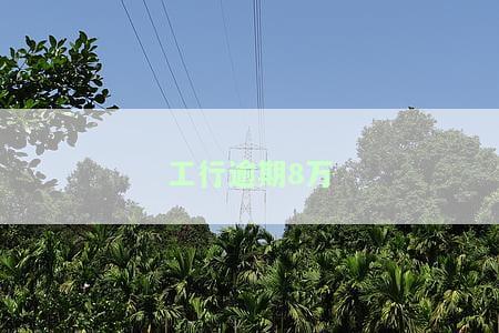 工商银行逾期90天以上可以先还本金吗及相关问题