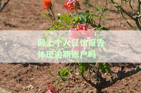 网上个人征信报告体现逾期账户吗
