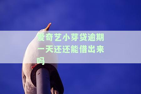 爱奇艺小芽贷逾期一天还还能借出来吗