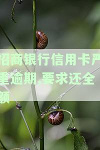 招商银行信用卡严重逾期,要求还全额