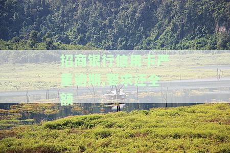招商银行信用卡严重逾期,要求还全额
