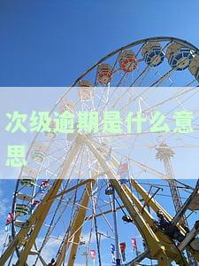 次级逾期是什么意思