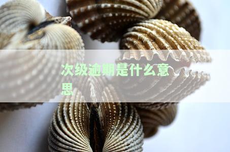 次级征信是什么意思