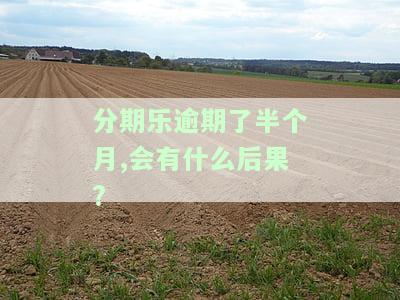 分期乐逾期半个月了会不会到我家找我？