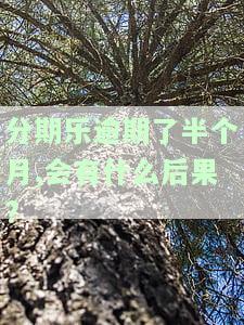 分期乐逾期了半个月,会有什么后果?