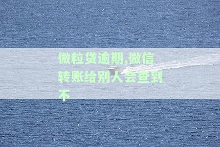 微粒贷逾期微信转账功能开通与关闭及安全性