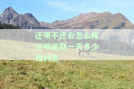 还呗的钱逾期还不上会怎么样，逾期不还款会受到什么样的惩罚，怎么办？