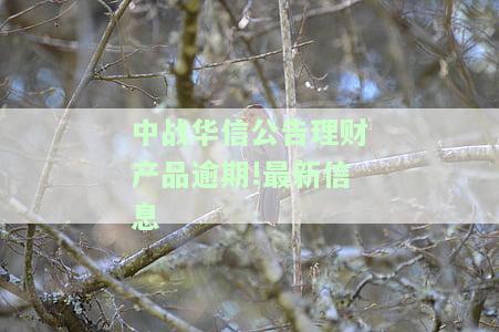 中战华信是国企么还是央企