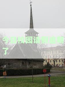 今日校园请假逾期了