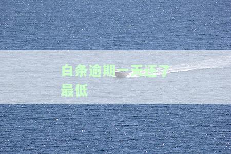 白条逾期一天还了最低