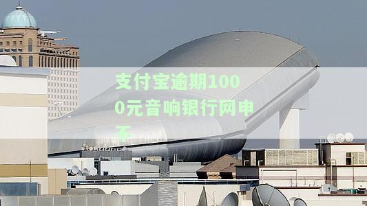 支付宝逾期1000元音响银行网申不