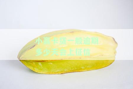 小赢卡贷一般逾期多少天会上征信