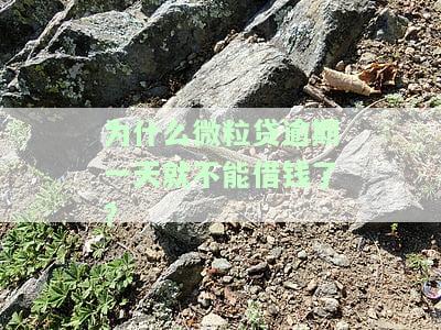 为什么微粒贷逾期一天就不能借钱了?