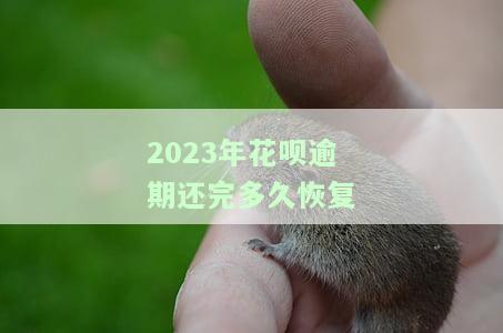 2023年花呗逾期还完多久恢复