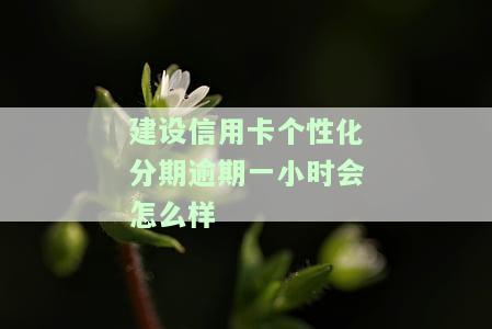 建设信用卡个性化分期逾期一小时会怎么样