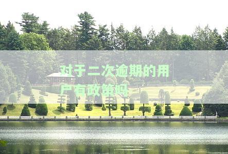对于二次逾期的用户有政策吗怎么处理