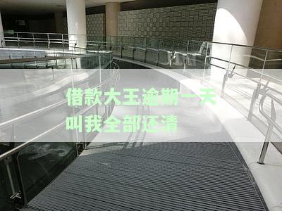 借款大王逾期一天叫我全部还清-借款大王逾期一天叫我全部还清怎么办