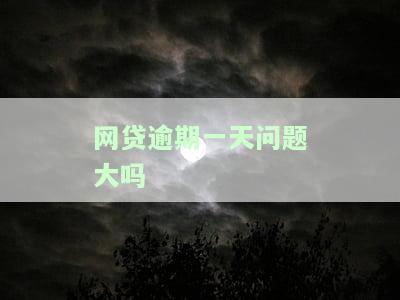 网贷逾期一天问题大吗