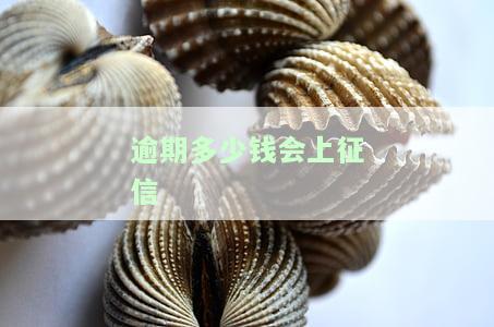 逾期多少钱会上征信记录？影响信用分数的关键数字