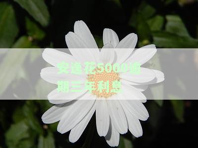 安逸花5000逾期三年利息多少？逾期90天利息高达3千多！