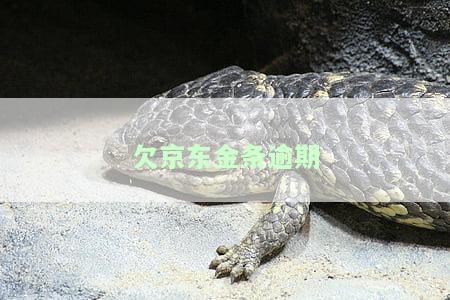 欠京东金条逾期后收到法院传票，该如何处理？