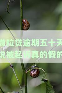 微粒贷逾期五十天说被起诉真的假的
