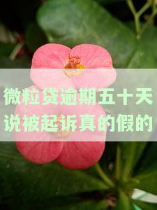 微粒贷逾期45天要被起诉：如何应对与处理？