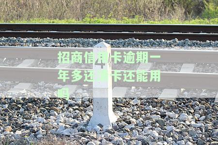招商信用卡逾期一年多还清卡还能用吗-招商信用卡逾期一年多还清卡还能用吗