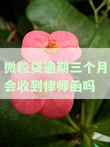 微粒贷逾期三个月会收到律师函吗