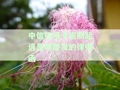 中信信用卡逾期起诉是哪里发的律师函