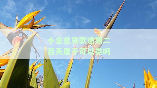 企业贷款逾期几天算不良？影响征信、留下不良记录！