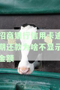 招商银行信用卡逾期还款为啥不显示金额