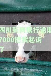 四川新网银行逾期7000把我起诉了