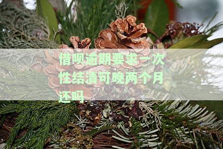 借呗逾期要求一次性结清可晚两个月还吗