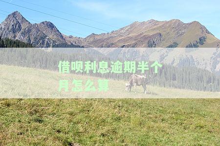 借呗利息逾期半个月怎么算