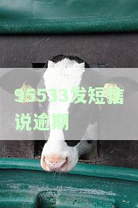95533发短信说逾期