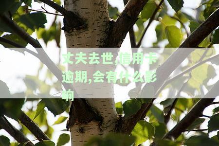 丈夫去世,信用卡逾期,会有什么影响