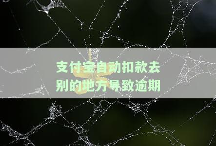 如何解决支付宝自动扣款到错误账户导致的逾期问题？