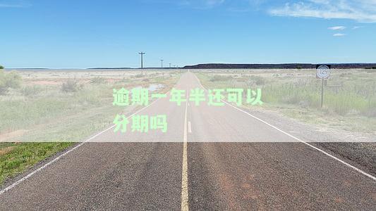 逾期一年半还可以分期吗