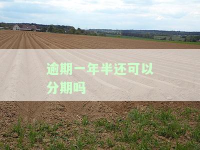 逾期一年多还能贷款吗？影响及解决办法