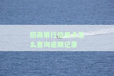 招商银行信用卡怎么查询逾期记录
