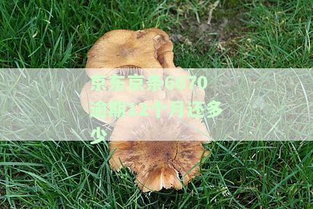 京东京条逾期156个月，会冻结银行卡吗？逾期5天被要求还全款合理吗？不还会有何后果？逾期一个月会上门催收是真的吗？还清欠款后多久可以注销账户？