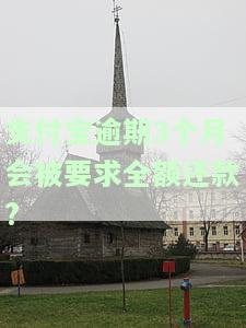 支付宝逾期3个月会被要求全额还款?