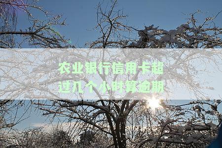 农业银行信用卡超过几个小时算逾期