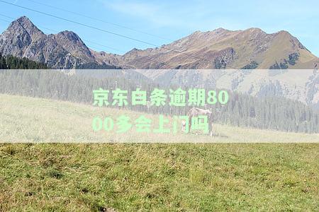 京东白条逾期8000多会上门吗